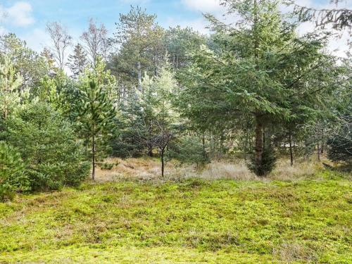 a field of grass with trees in the background at 4 person holiday home in Store Fuglede-By Traum in Store Fuglede