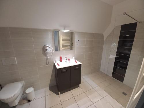 La salle de bains est pourvue de toilettes, d'un lavabo et d'une douche. dans l'établissement Hôtel *** Les Tremplins, à La Chaux Neuve