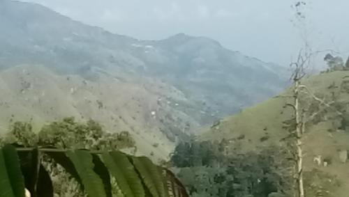 a view of a mountain from a window at Apurvi Homestay in Ella