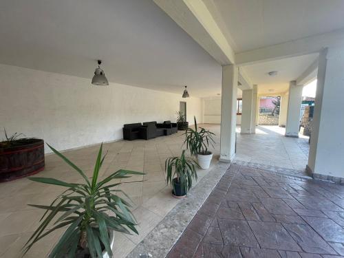a living room with potted plants and a couch at Pietrabianca Country House in Manocalzati