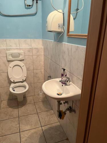 a bathroom with a toilet and a sink at Hipokratios 1 in Fürth