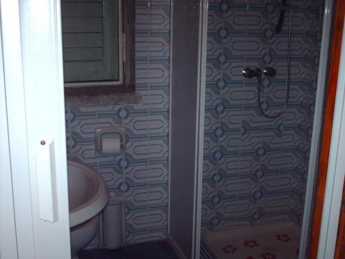 a bathroom with a shower with a toilet and a mirror at B&B Le Caselle in Tarsia