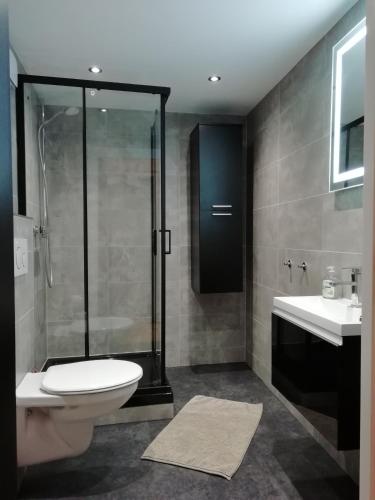 a bathroom with a shower and a toilet and a sink at Group Haus Blick am Edersee 13P in Waldeck