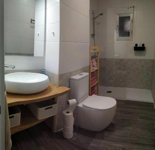 a bathroom with a toilet and a sink at Precioso apartamento en Plentzia in Plentzia