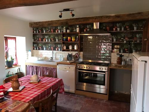 eine Küche mit einem Tisch und einem Herd Top-Backofen in der Unterkunft Gîte Le Mur magnifique longère au Bourgogne-du-Sud in Oyé