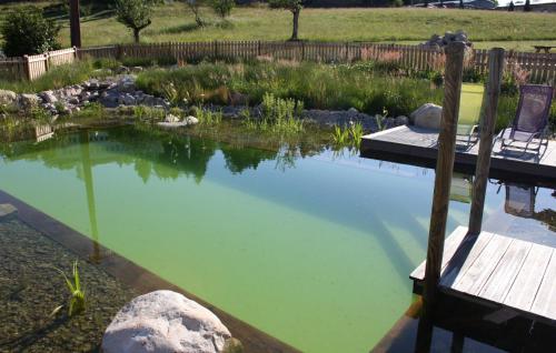 a pond with a wooden dock and a bench at Le Domaine des Fleurs - Appartement La Gentiane in Gérardmer