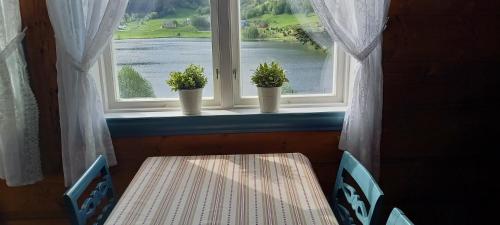 ein Fenster mit zwei Topfpflanzen auf einem Fensterbrett in der Unterkunft Vassel gård in Herand