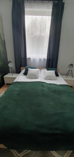Cama o camas de una habitación en Czarne Nad Białym