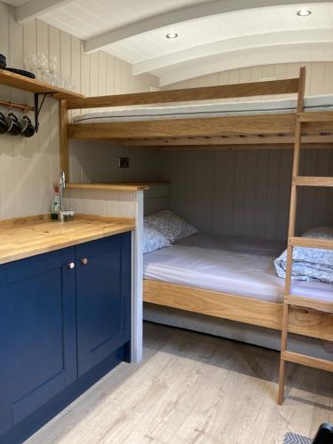 a bedroom with two bunk beds and a sink at Herdwick Shepherd Hut in Exeter