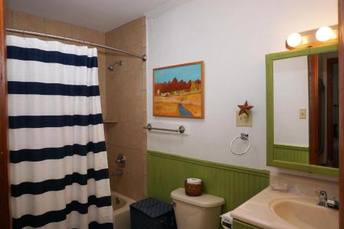 a bathroom with a green and white shower curtain at Bandit's Hideaway-The Loft in Wimberley