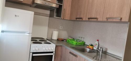 eine Küche mit einer Spüle und einem Herd Top-Backofen in der Unterkunft Apartman Benz studio in Banja Luka