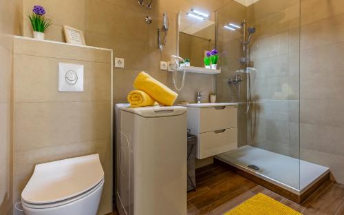 y baño con ducha, aseo y lavamanos. en Apartment Dream Pula - City Centre, en Pula