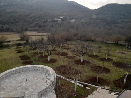 a view of a park with trees and a fence at Aleksa in Cetinje