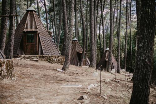 Glamping The Teepee في Mombeltrán: مجموعة من الخيام في غابة مع الأشجار
