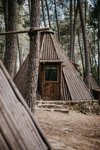 a small cabin in the woods with a tree at Glamping The Teepee in Mombeltrán