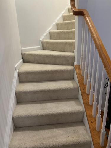 a stairway with a carpeted stair case at 37100 turnstone circle in Rehoboth Beach