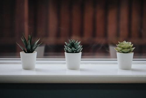 three plants in white pots sitting on a window sill at Hillside House - 2 Bedrooms parking WI-FI Hospital in Blackpool