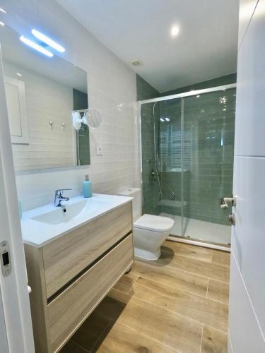a bathroom with a sink and a toilet and a shower at VUT REAL DE ARRIBA in El Barraco