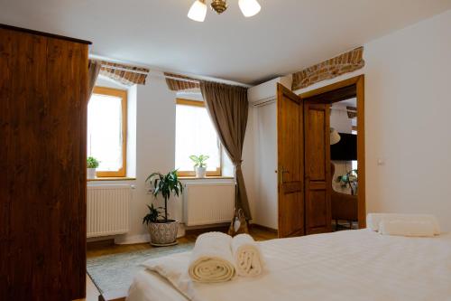 Gallery image of Stone Way Apartment in Sibiu