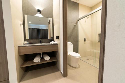 a bathroom with a sink and a toilet and a mirror at TH HOTEL & VIVIENDA in Tepatitlán de Morelos