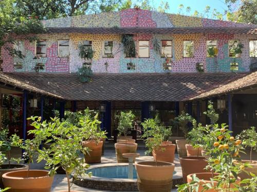 a courtyard with potted plants in front of a building at Hotel La Casa de los Árboles Immersive Experience in Zacualpan de Amilpas