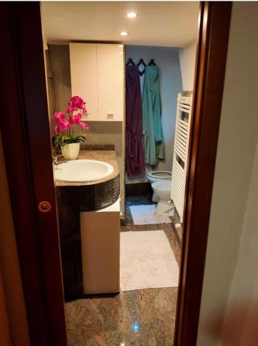 łazienka z umywalką i toaletą w obiekcie Alpine house CIN-0014 w mieście Fénis