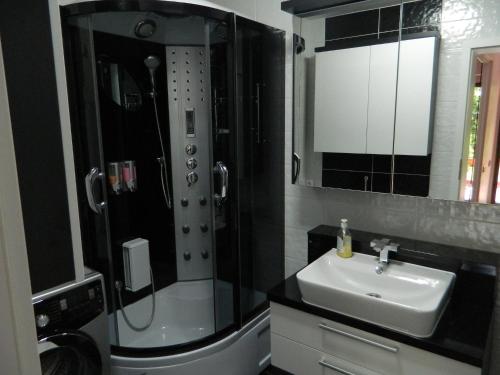 クルジュ・ナポカにあるCazare Vioのバスルーム(シャワー、シンク付)