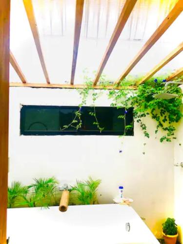 a bathroom with a toilet with plants on the wall at Rancho Oco Mahogany Loft Type Villa in Nasugbu