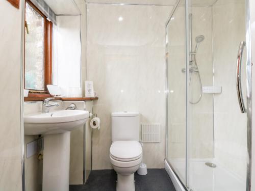ein Badezimmer mit Toilette, Waschbecken und Dusche in der Unterkunft Coach House Cottage in Bude