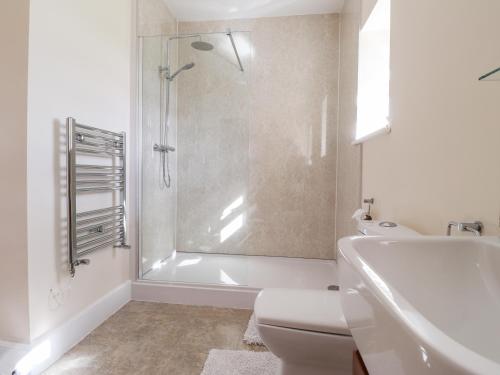 y baño con ducha, aseo y lavamanos. en Sewin Cottage en Carmarthen