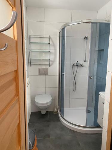 a bathroom with a toilet and a glass shower at Nocleg pod Turbaczem in Nowy Targ