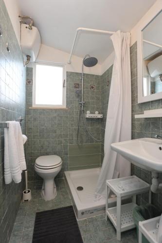 een badkamer met een douche, een toilet en een wastafel bij RelaxNelBorgo Marilyn in Formello