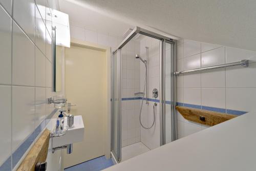 a bathroom with a shower and a sink at Chesa Giandains - Pontresina in Pontresina
