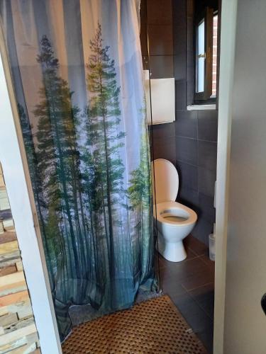 a bathroom with a shower curtain with a toilet at Le refuge in Hastière-par-delà