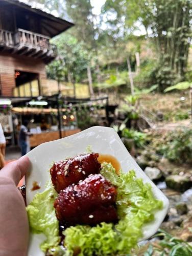 a person holding a plate of food with lettuce at Fig Tree Hills Resort (花果山度假村) in Bayan Lepas