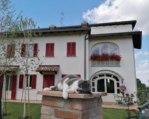 a cat laying on a stone wall in front of a house at la Mafalda in Oltrepo in Codevilla