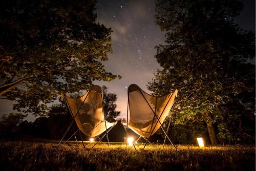 a couple of chairs sitting in the grass at night at BIG BERRY Kolpa - MerryBerry mobile house in Metlika