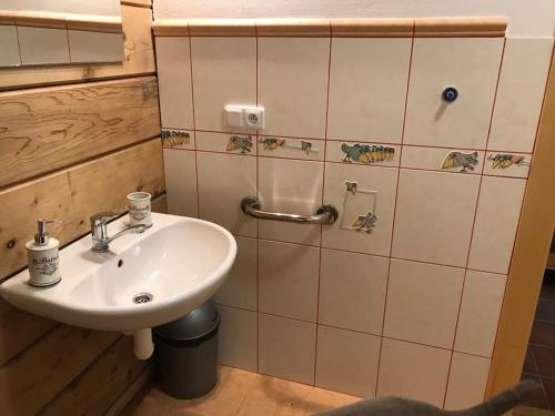 a bathroom with a sink and a shower at Samota u Hadince in Bartošovice v Orlických Horách
