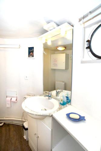 une salle de bain avec un lavabo blanc et un miroir dans l'établissement Appartement charmant près du centre-ville de Lyon avec parking, à Lyon