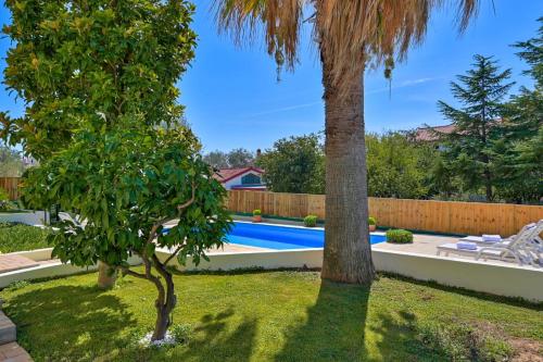 einen Hinterhof mit einem Pool und zwei Palmen in der Unterkunft Villa Oscar, Zadar in Zadar