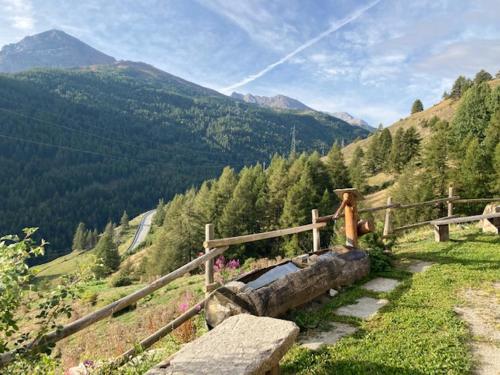 Baita di Chezal – Photos 3