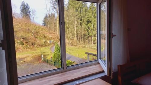 a window with a view of a forest at Waldpension Harzer Waldwinkel in Bad Grund