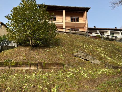Gallery image of Green View Apartments in Contra