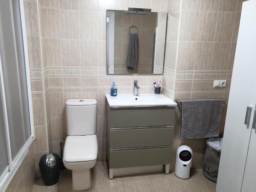 a bathroom with a toilet and a sink and a mirror at Bonito apartamento en Baeza in Baeza