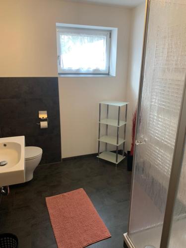 een badkamer met een toilet, een wastafel en een douche bij Ferienwohnung- Pfenniggeiger in Philippsreut
