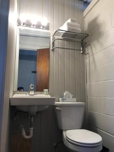 a bathroom with a toilet and a sink and a mirror at The Cedar Motel in Sandusky