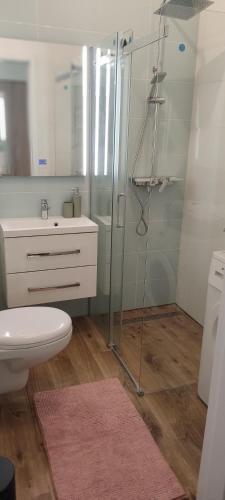 a bathroom with a shower and a toilet and a sink at Be my Guest - Marszałkowska Studio - Center of Warsaw Subway Wi-Fi in Warsaw