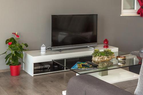 MODERN apartment OMIS