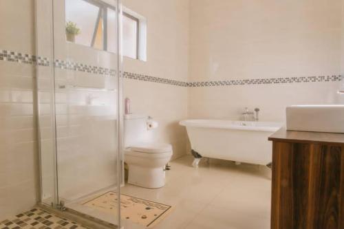 a bathroom with a shower and a toilet and a sink at Mantenga Hillview in Ezulwini