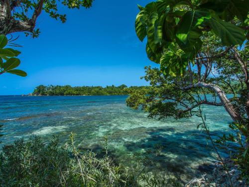 Gallery image of Geejam in Port Antonio